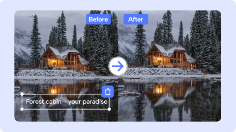 Remove Captions Photo