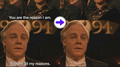 Remove Captions Photo