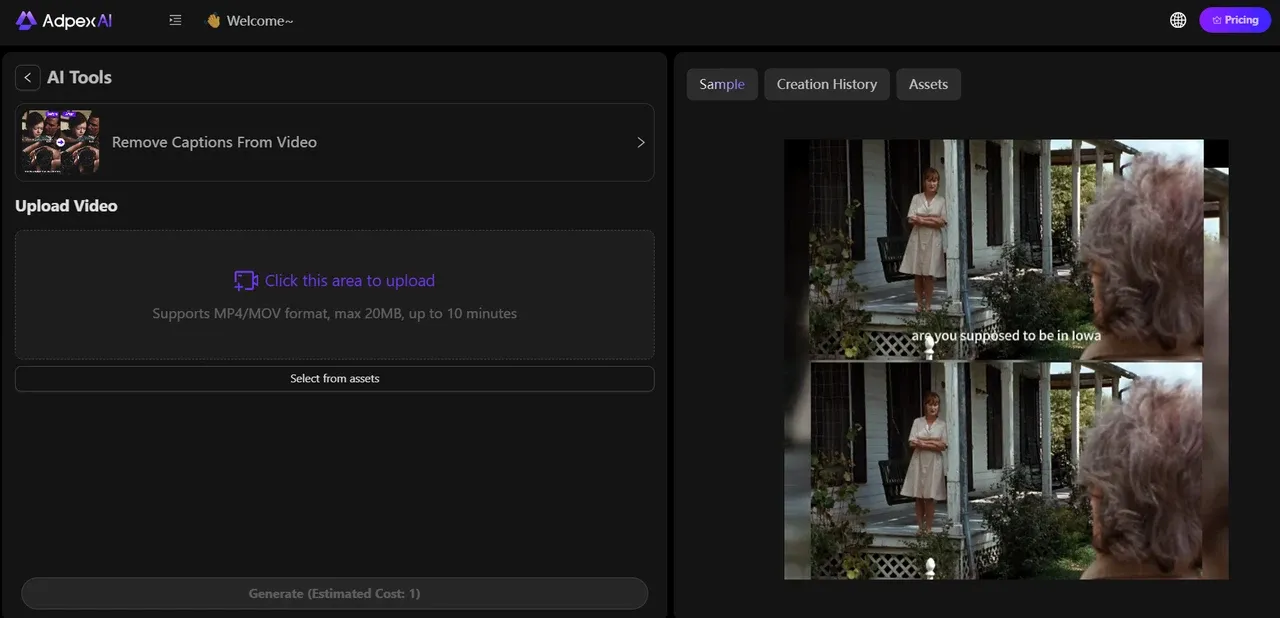 Video Caption Remover Photo