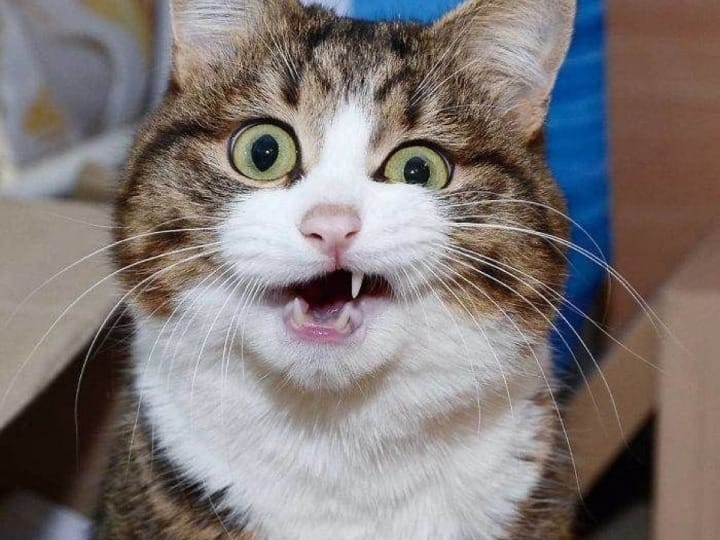 Sora 2 AI Video Generator