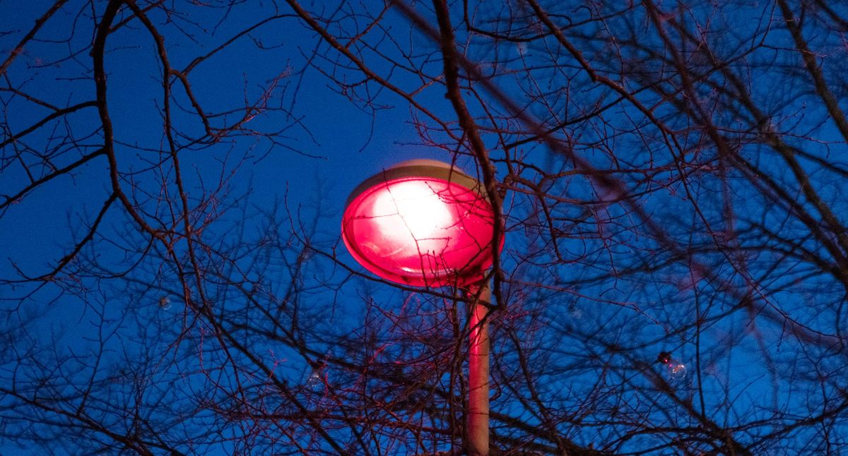 Streetlight Harvesters Artist Talk