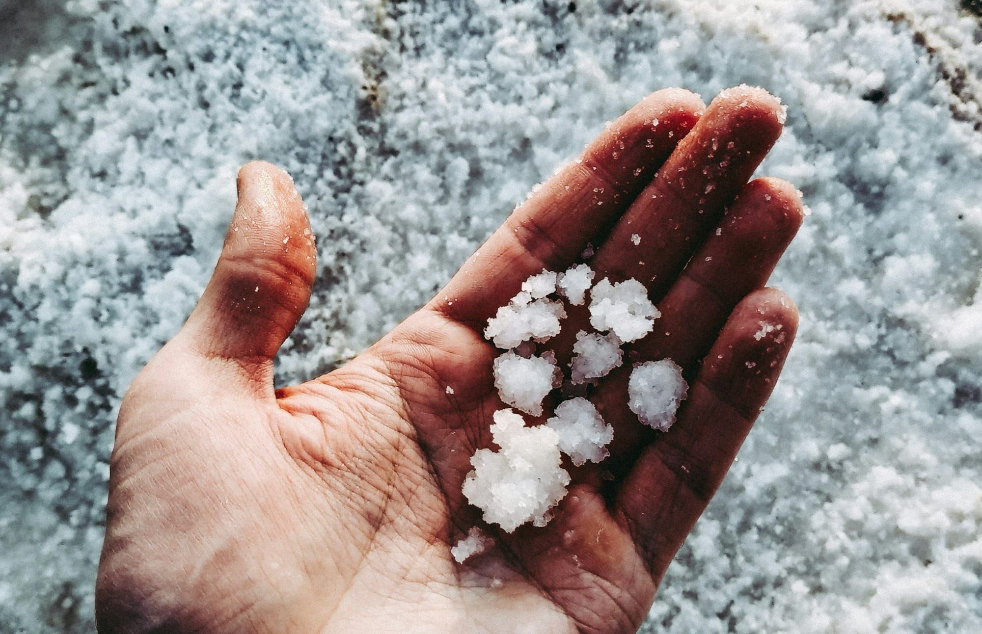 The Salt of The Earth: Matthew 5:13