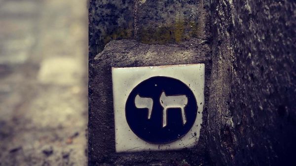 Psalm 1 in Hebrew with English Translation