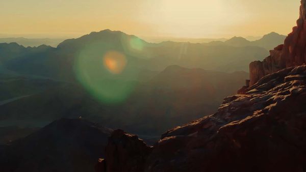 A Morning Prayer: May Your Will Always Be...