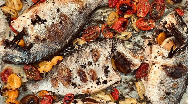What Kinds of Fish Were Eaten in Ancient Jerusalem?