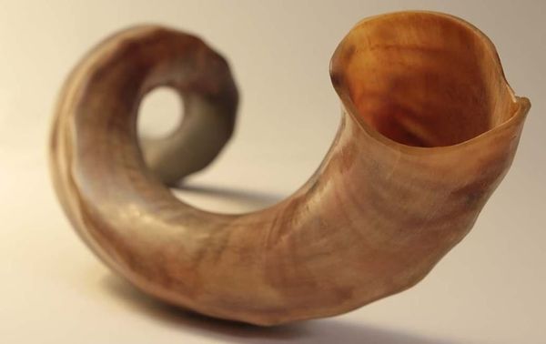 Hearing the Sound of Shofar