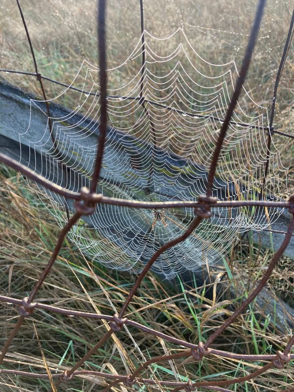 September TwentySeven