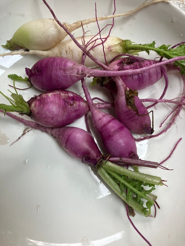 September TwentyEight