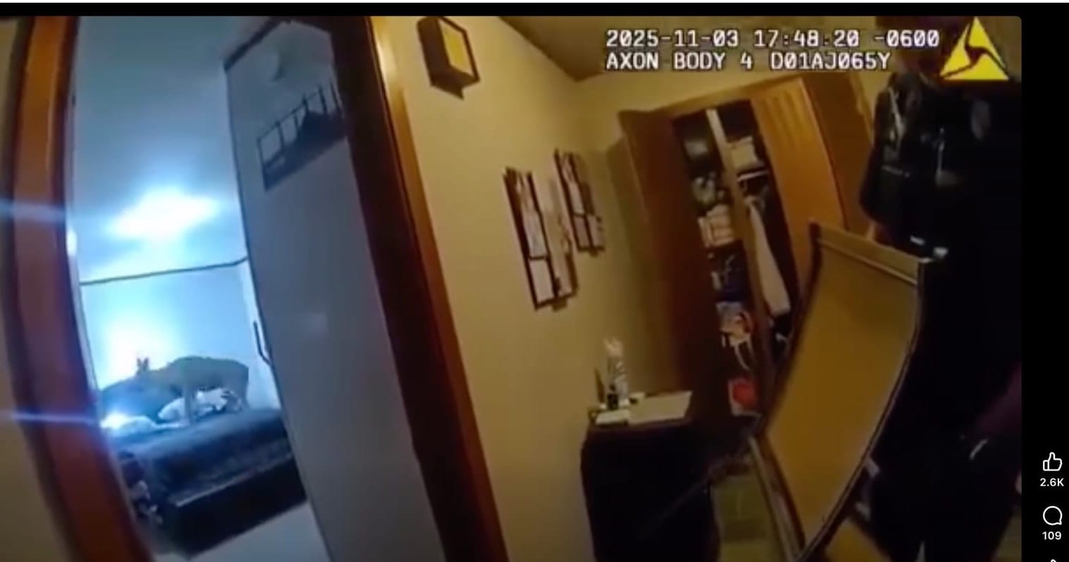 This screenshot is from a video released publicly in November 2025 by the Watertown (S.D.) Police Department. 