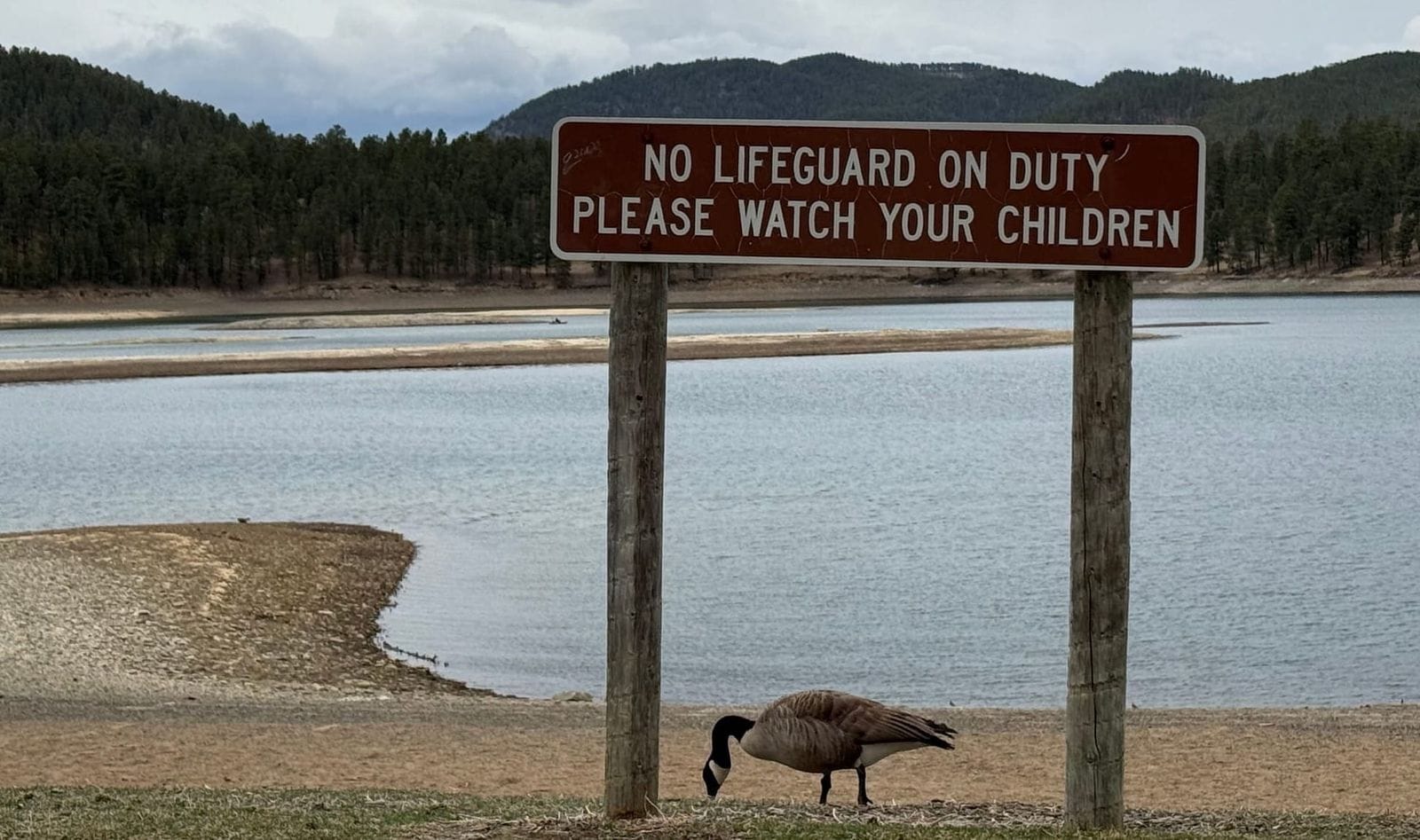 Sand bars not normally seen on Pactola Reservoir, S.D., in the Black Hills of South Dakota were visible in April 2025 due to unusually low water levels.