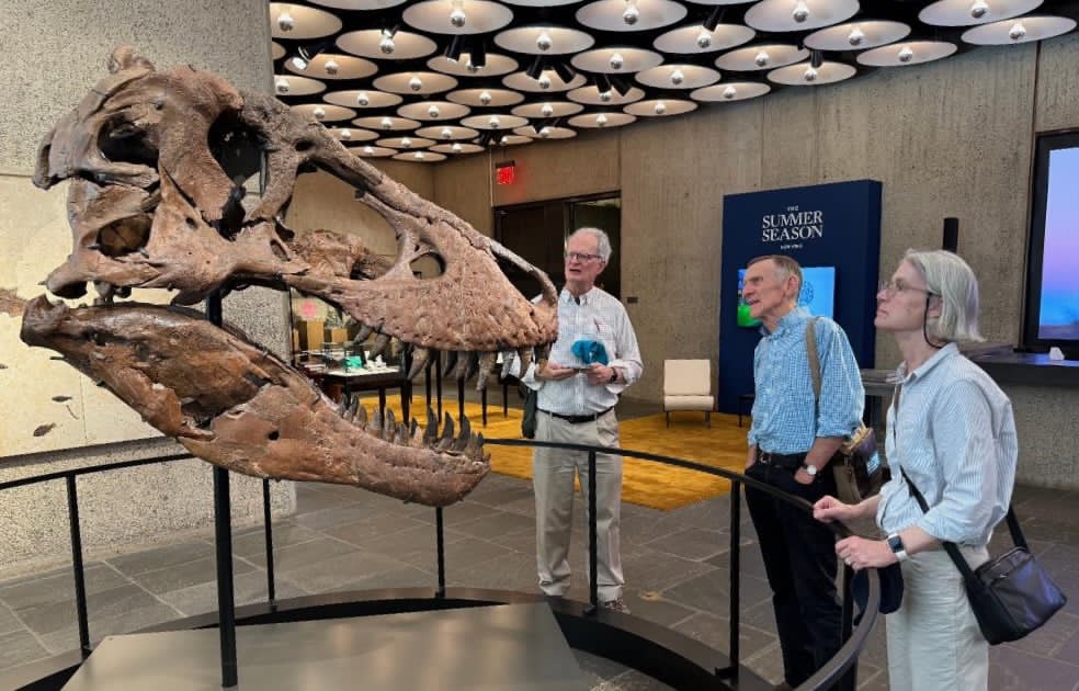 The mounted skull of "Gus" on display July 8, 2026