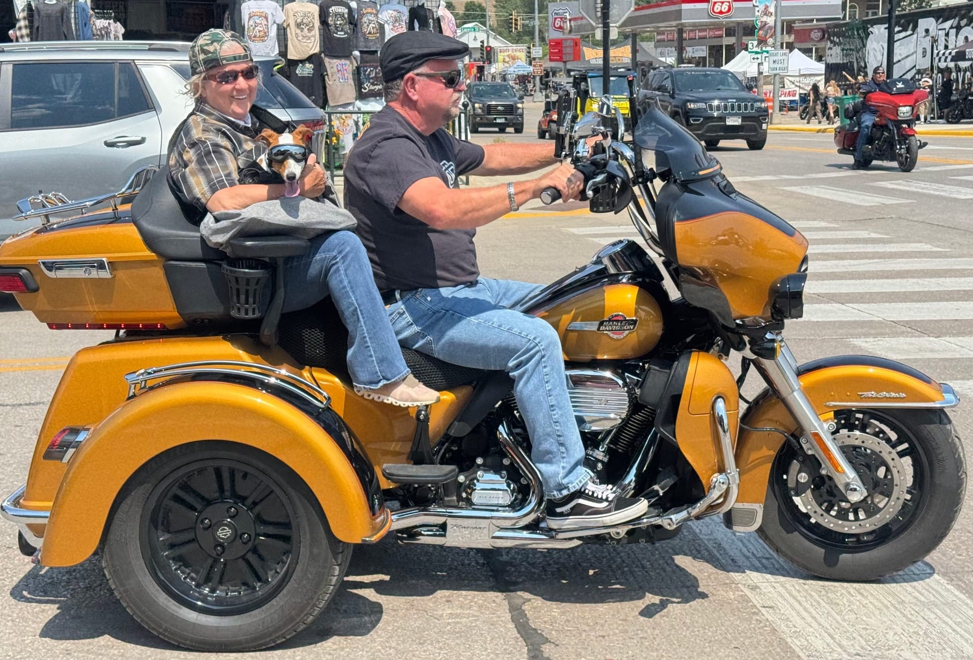 Bikers say three-wheeled cycles are more stable and provide greater space for carrying things, including dogs that wear goggles