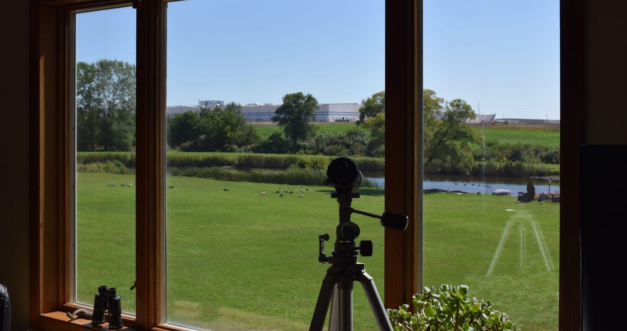 Patti Guthrie's living room window in rural Crooks, S.D., which now looks over her pond, wildflower meadow and the new CJ Schwan's food facility