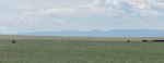 Drought adds to pastureland challenges