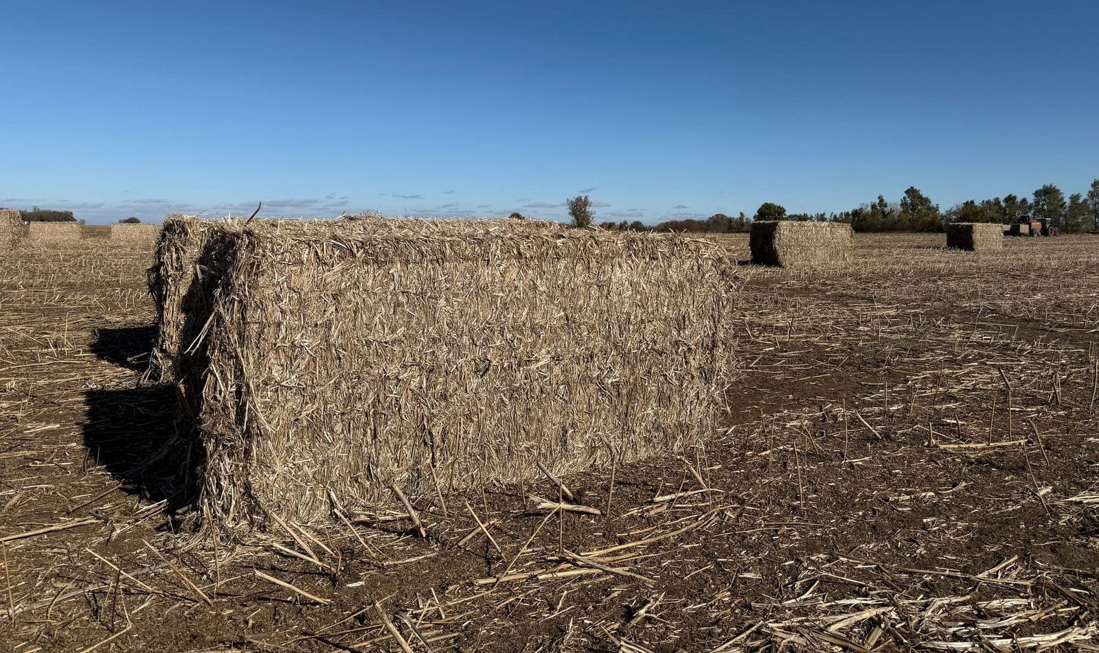 Hemp industry grows amid federal legality battle