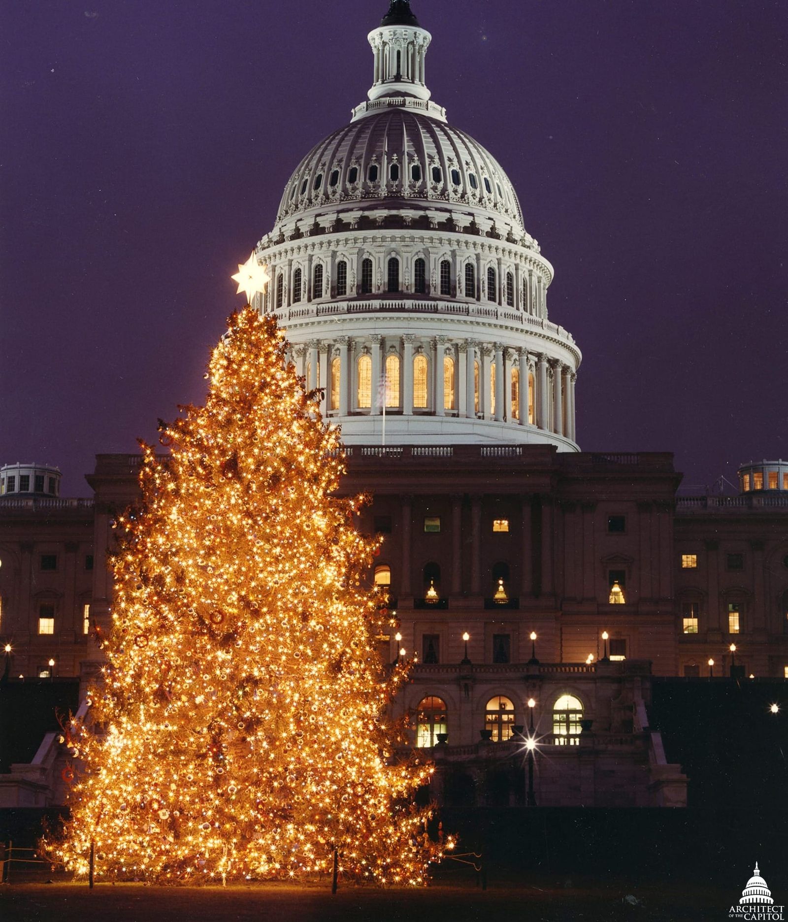 Fact brief: Has SD ever supplied the National Christmas Tree in Washington?