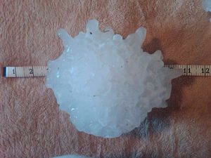 Is South Dakota among the most vulnerable to hail damage?