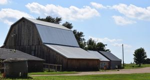 From barn to table: How agritourism is reviving rural South Dakota