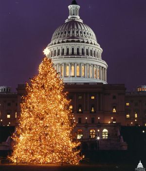 Fact brief: Has SD ever supplied the National Christmas Tree in Washington?