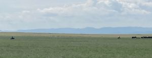 Drought adds to pastureland challenges