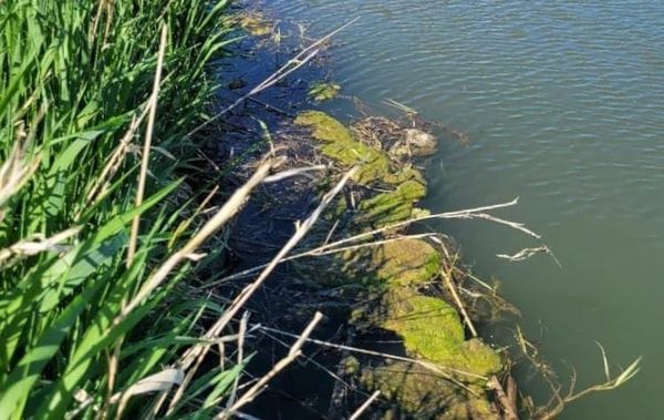 Has South Dakota set a goal for reducing water pollution in the state’s rivers and streams?