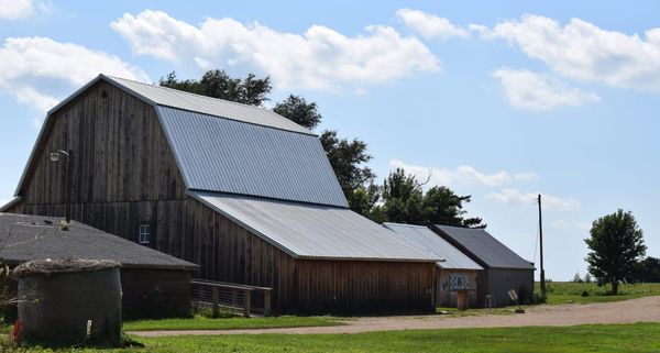 From barn to table: How agritourism is reviving rural South Dakota