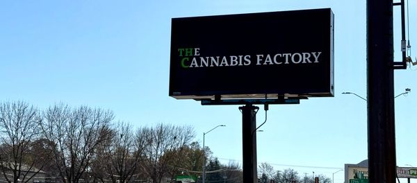 Cannabis defined: Everything to know about the plant