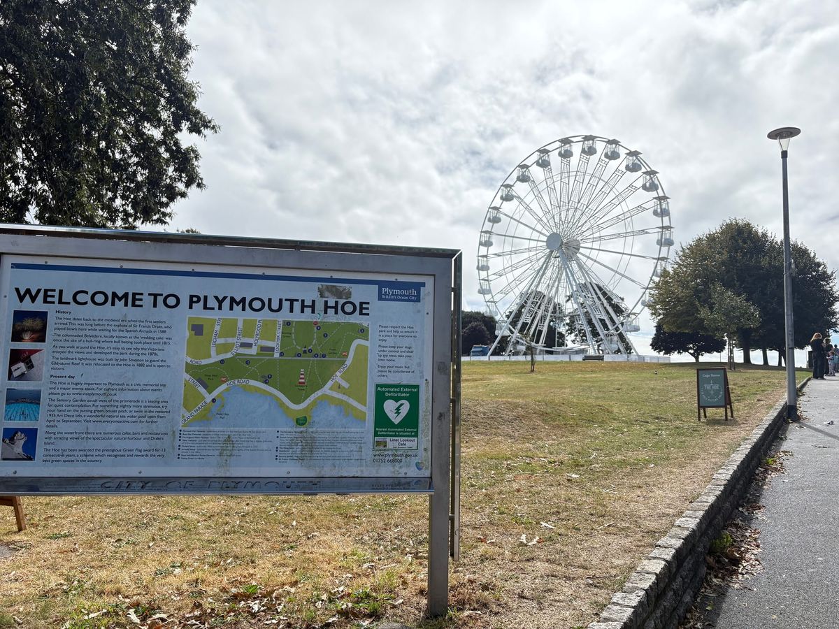 Big wheel wins council approval