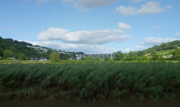 Sunset cruise to Calstock