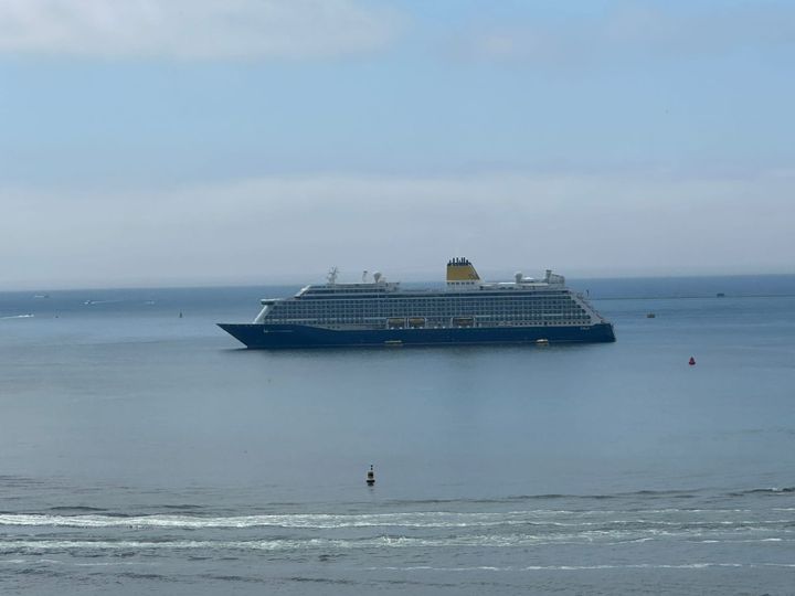 Armed Forces Day, Gogmagog and Plymouth visitors