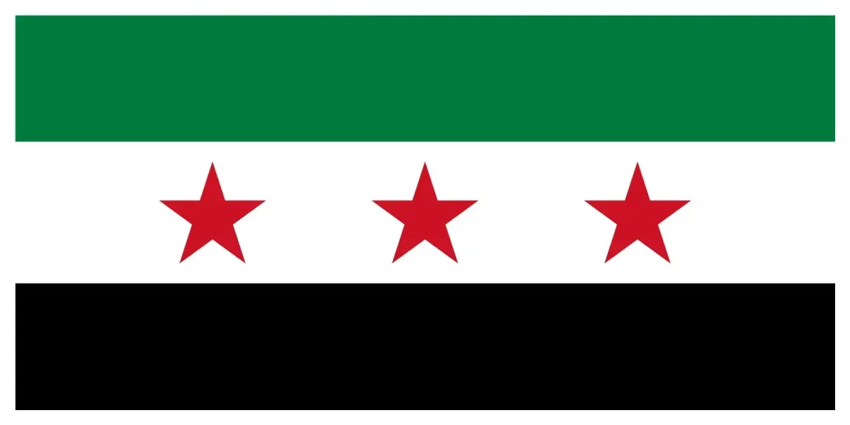 https://www.reddit.com/r/Syria/comments/1h9gwjq/the_official_flag_of_the_republic_of_syria_2025/