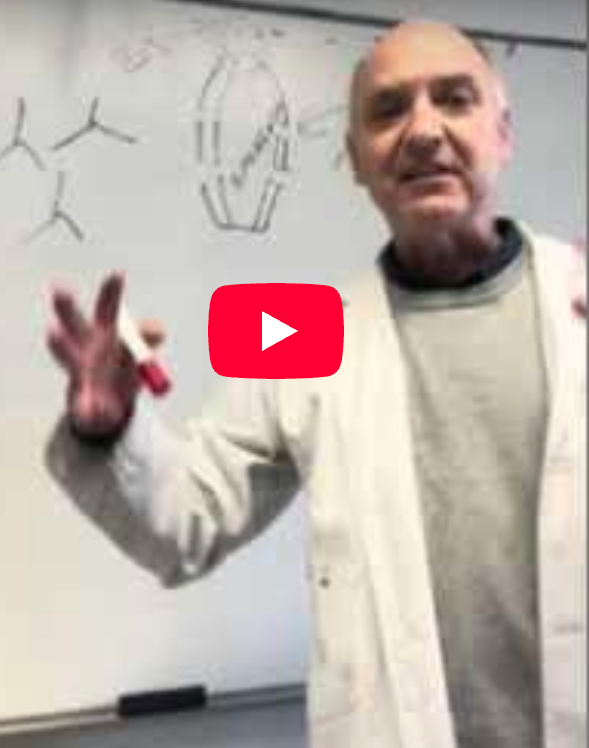 Porifera and Cnidaria Review