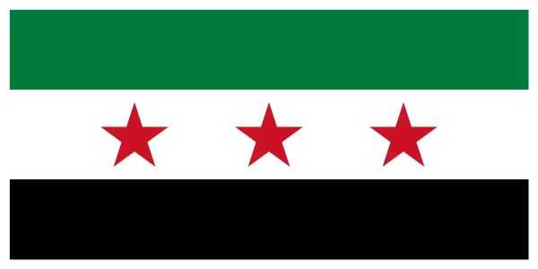 https://www.reddit.com/r/Syria/comments/1h9gwjq/the_official_flag_of_the_republic_of_syria_2025/