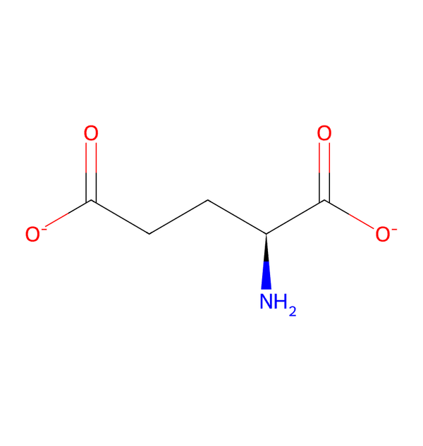 Where Do Neurotransmitters Come From?