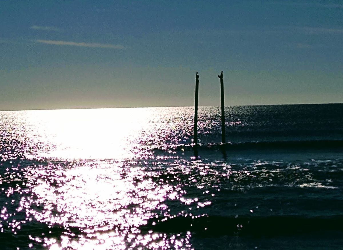 Two Cranes at the Beach