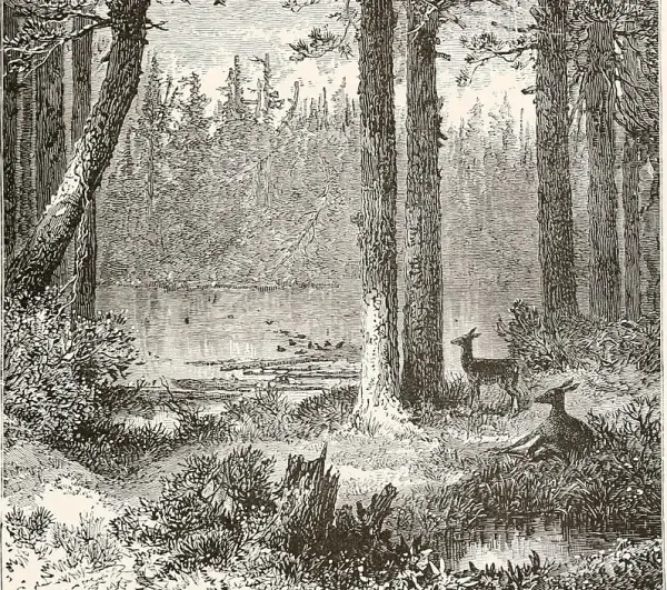 Pilgrim's Progress