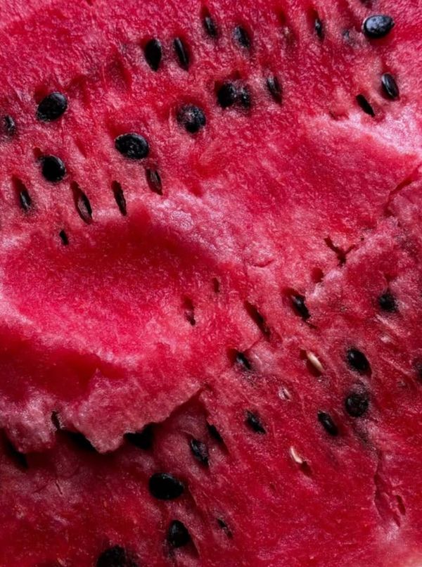 Watermelon Seeds