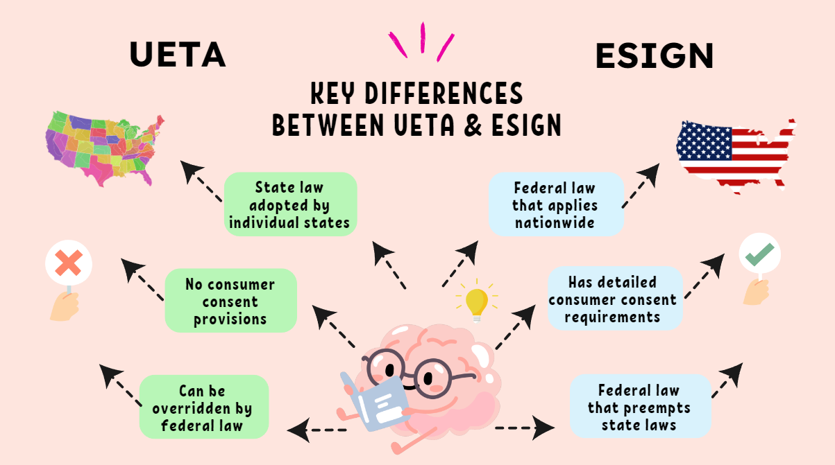 Infographic comparing UETA and ESIGN laws in the US, highlighting differences in state vs. federal scope and consumer consent.