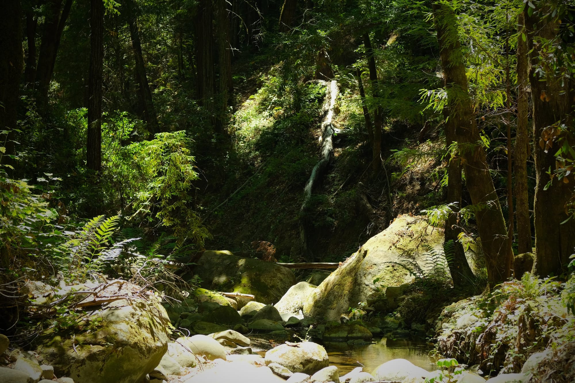 Third Space Experience