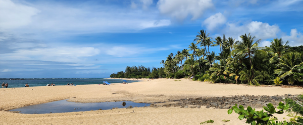 A Hawaiian beach with palm trees under a partly cloudy sky. The ocean is in the distance with a large puddle in the lower center of the image and scattered gray rocks to the right. 