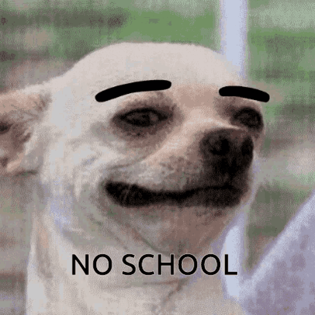 "My little kid got suspended?"