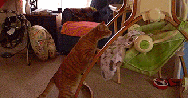 The best babysitters' club