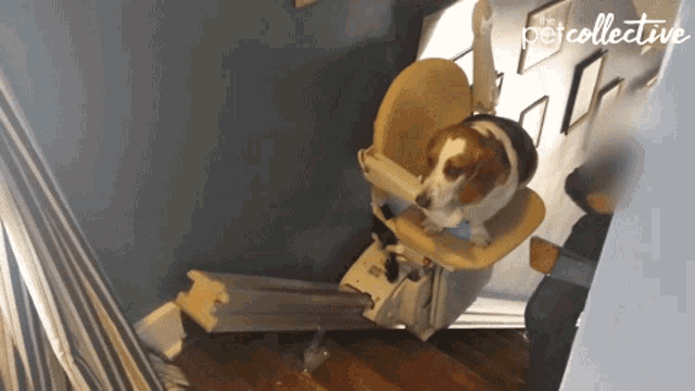 From "never again" to "Oh, all right"