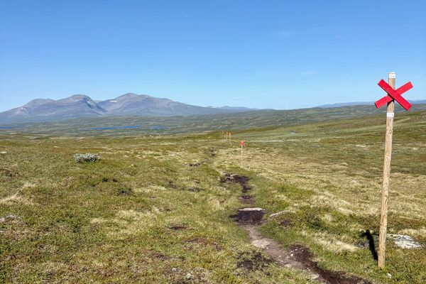 My big family-free Swedish adventure