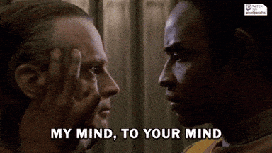Paid subscriber gif dump party