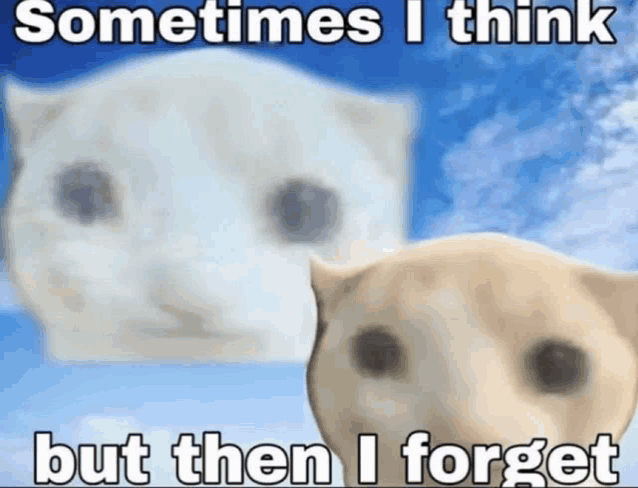You, too, will forget someday