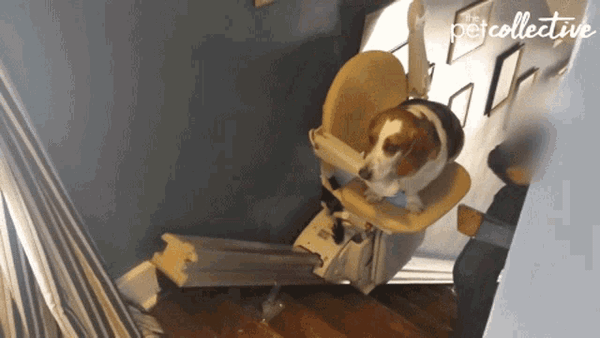 From "never again" to "Oh, all right"