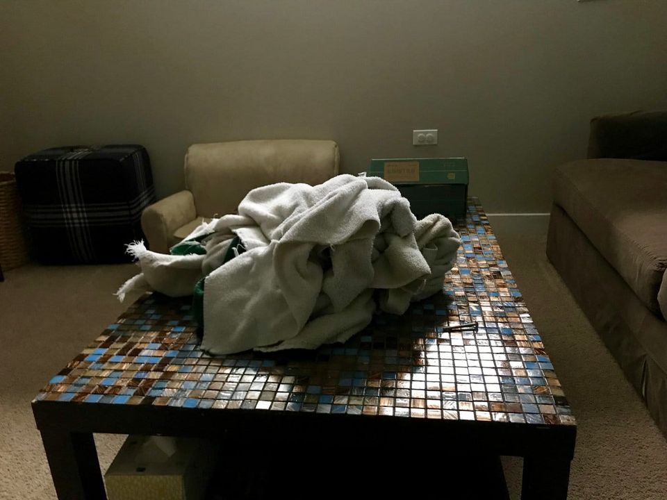 Evil Witches Newsletter Vol. 6