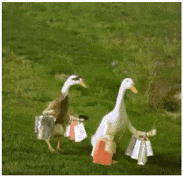 Shopping Family GIF - Shopping Family Ducks GIFs