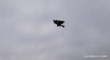 Flying Broom Stick GIF